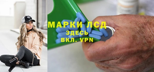 хмурый Анива