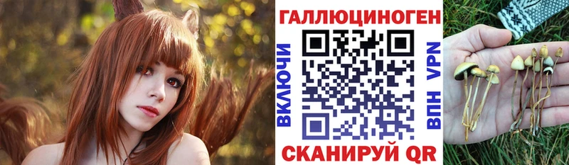 Псилоцибиновые грибы мицелий  mega онион  Белоозёрский 